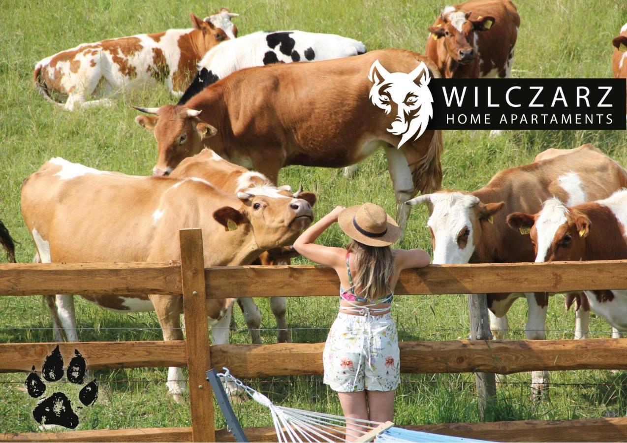 두슈니키 즈드로지 Wilczarz 아파트 외부 사진